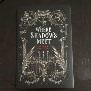Where Shadows Meet Book